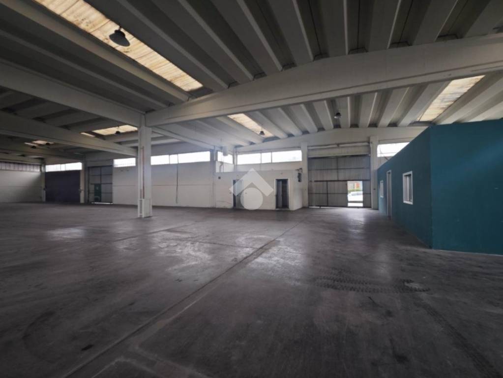 immagine annuncio 4 di 11