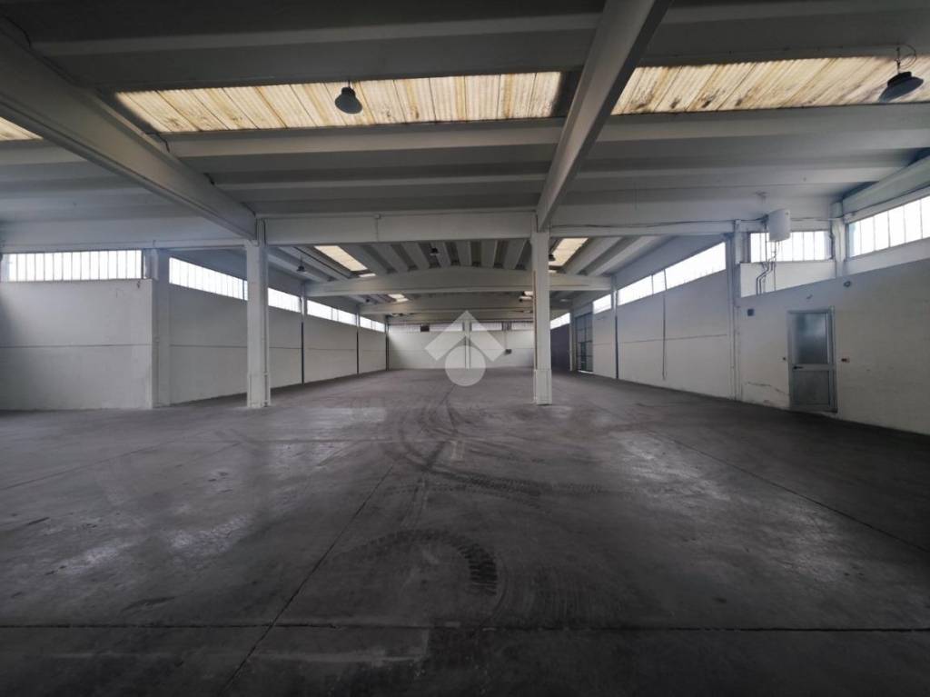 immagine annuncio 5 di 11