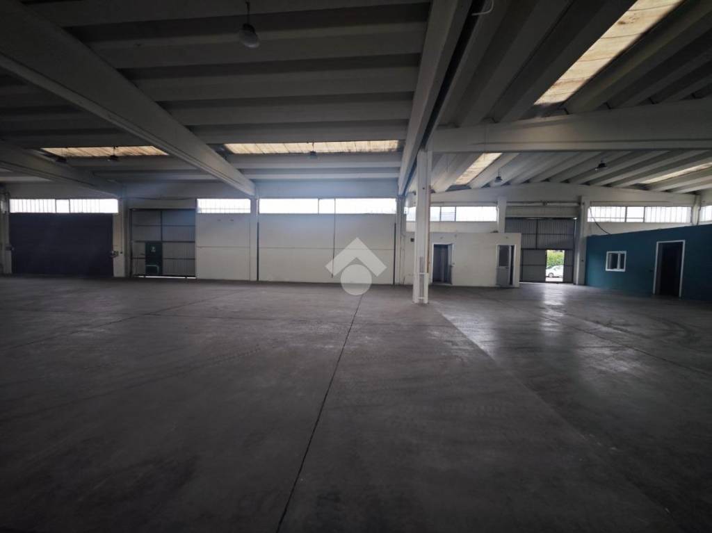 immagine annuncio 7 di 11