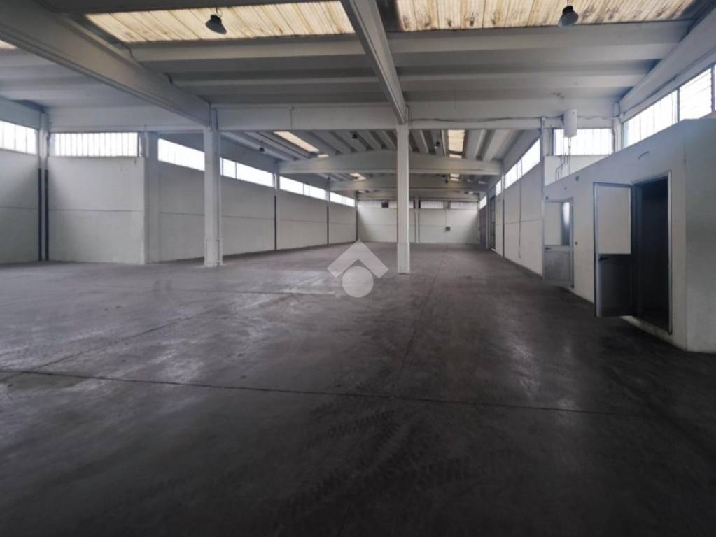 immagine annuncio 8 di 11