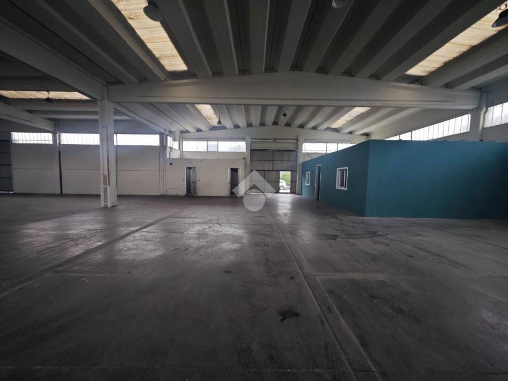 immagine annuncio 9 di 11