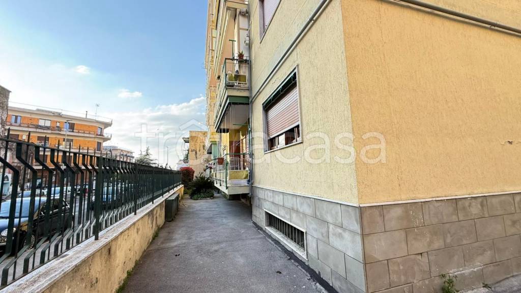 immagine annuncio 10 di 12