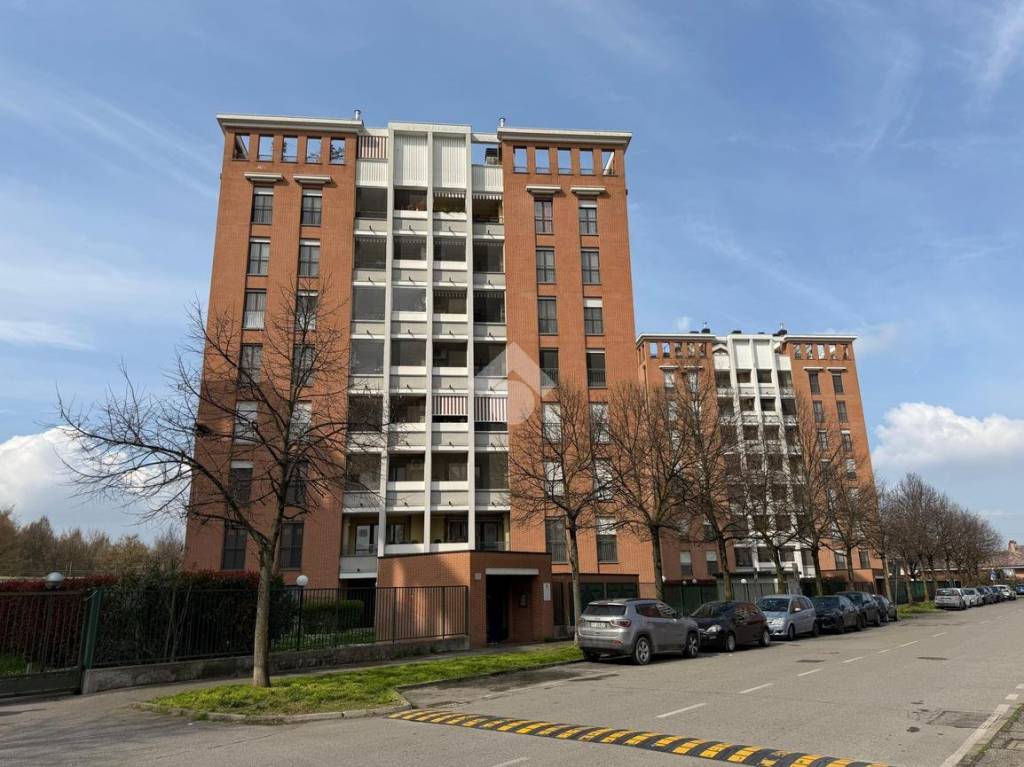 immagine annuncio 12 di 14