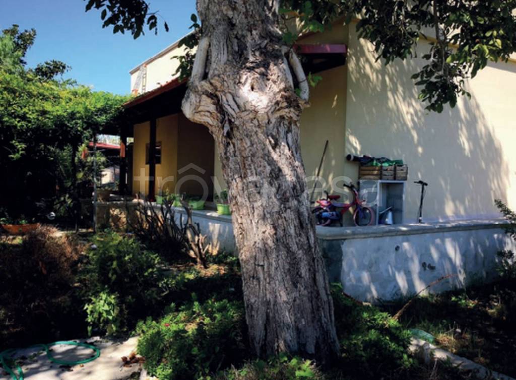 immagine annuncio 4 di 12