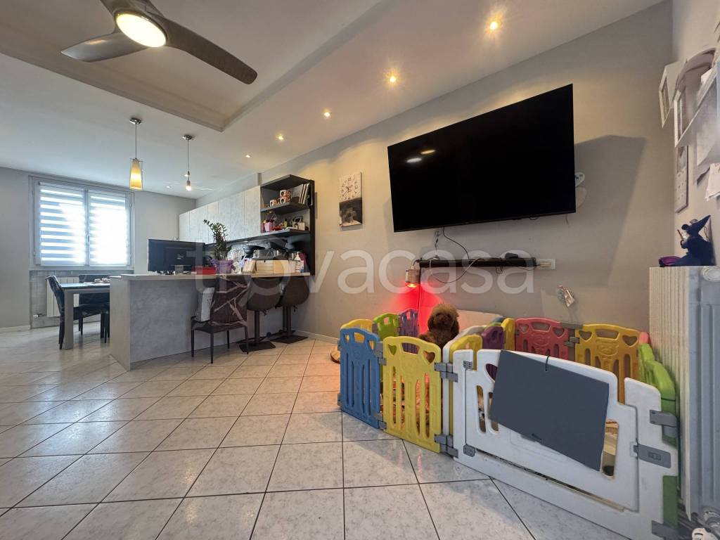 immagine annuncio 6 di 15