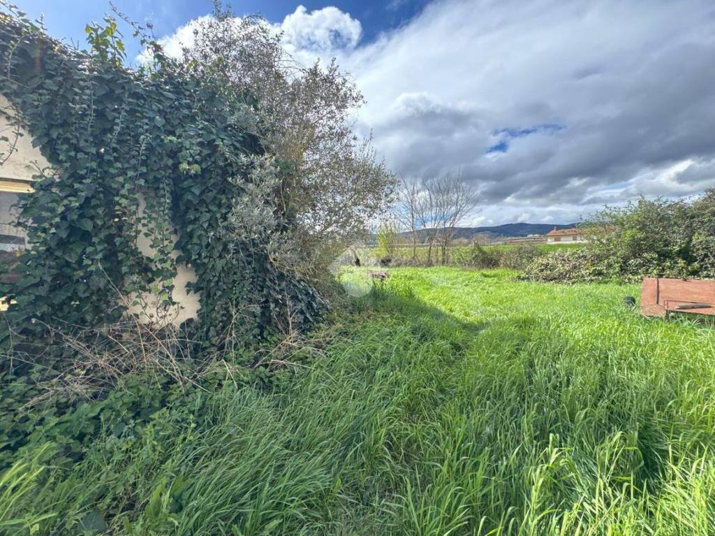 immagine annuncio 10 di 13