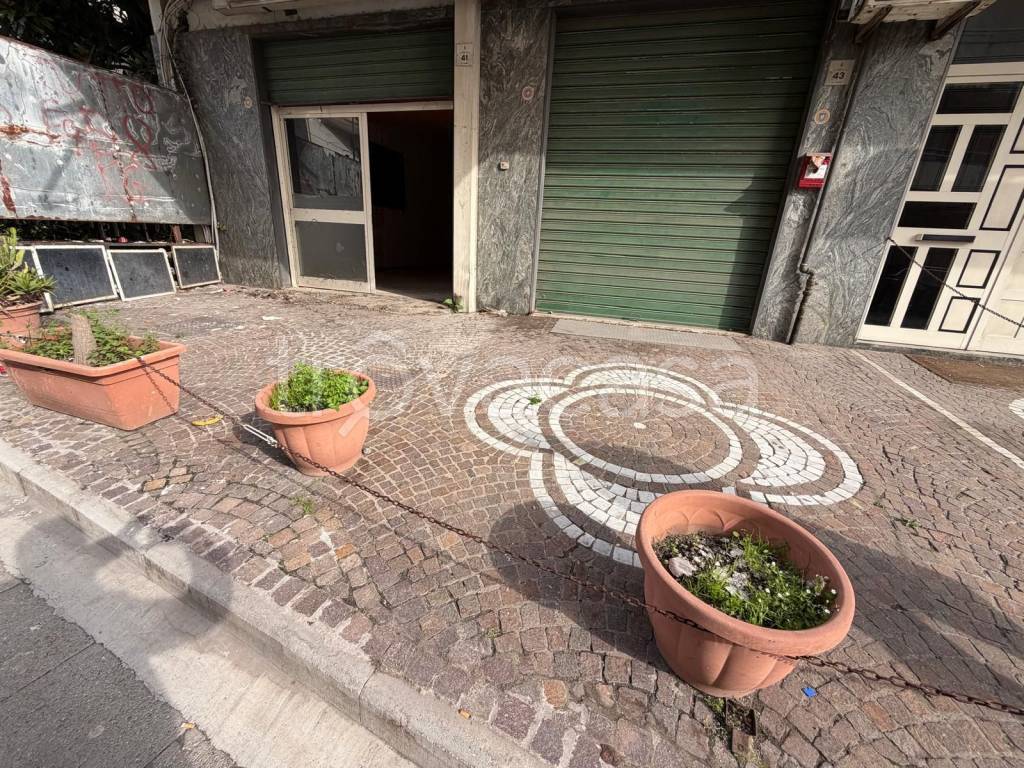 immagine annuncio 4 di 6