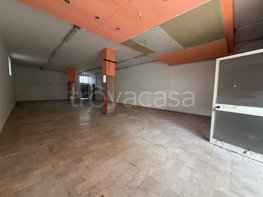 immagine annuncio 2 di 6