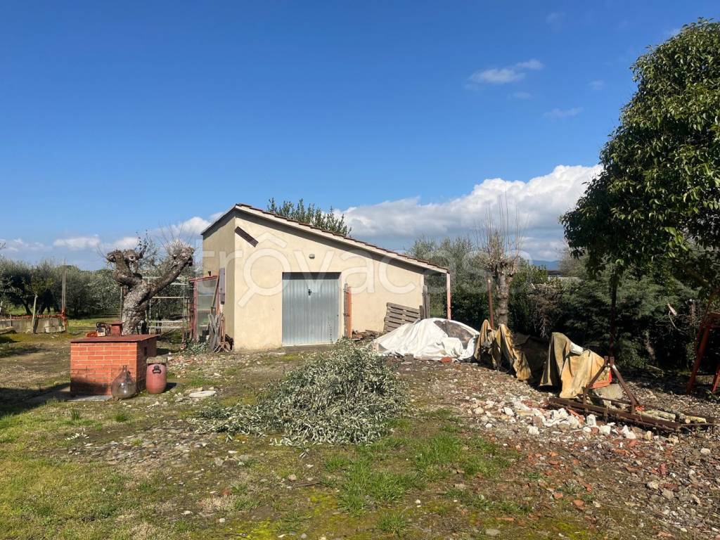 immagine annuncio 10 di 15