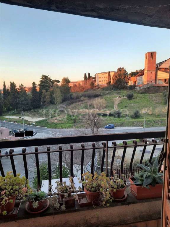 immagine annuncio 7 di 14