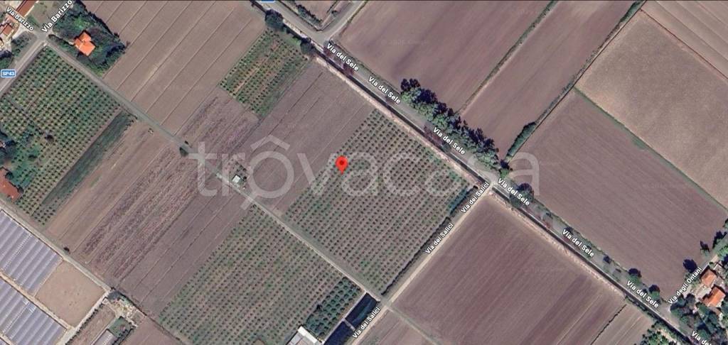 immagine annuncio 10 di 12