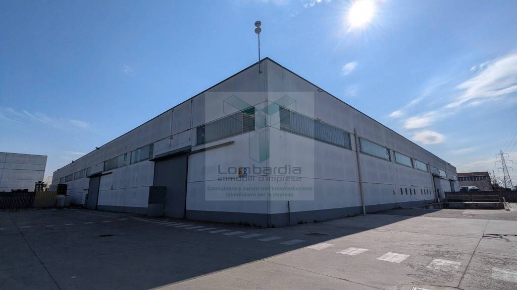 immagine annuncio 5 di 15