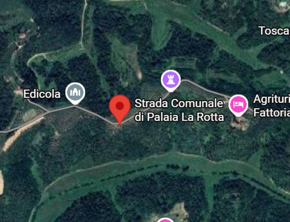 immagine annuncio 9 di 10