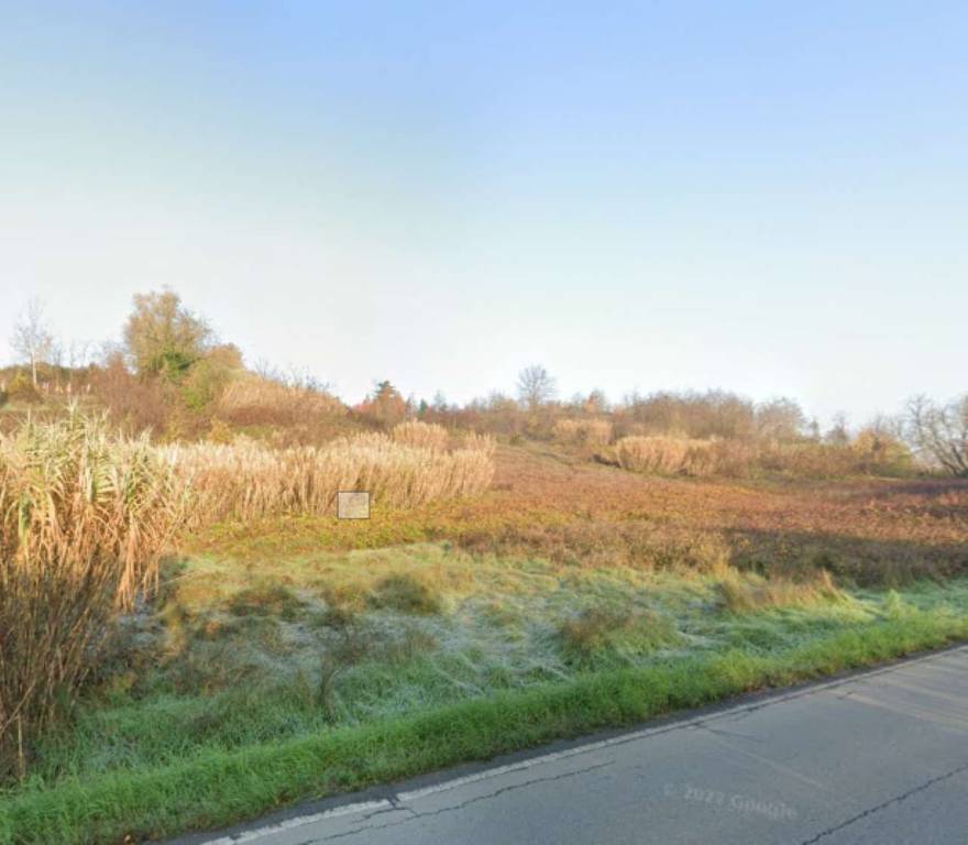 immagine annuncio 4 di 8