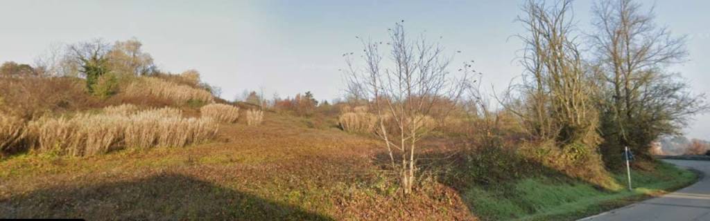 immagine annuncio 6 di 8