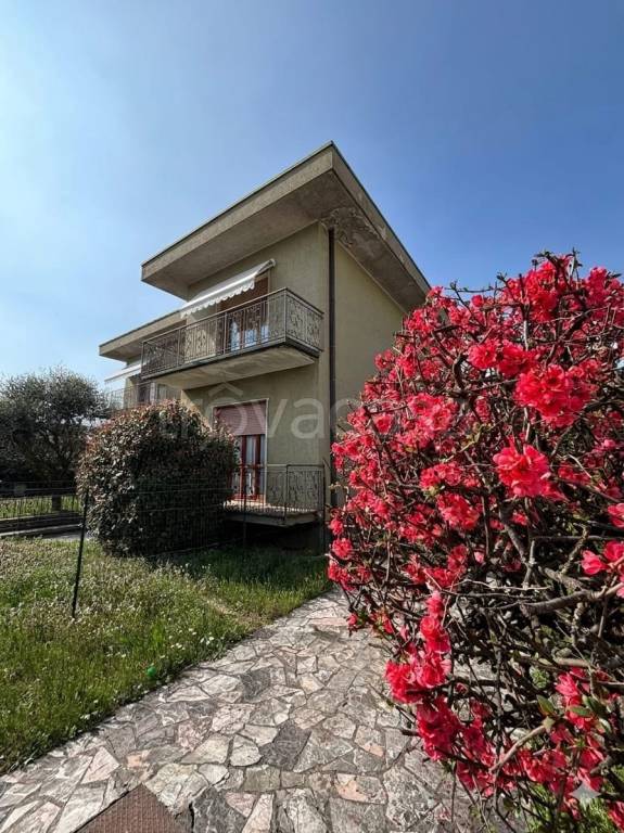 immagine annuncio 7 di 9