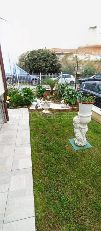 immagine annuncio 4 di 12