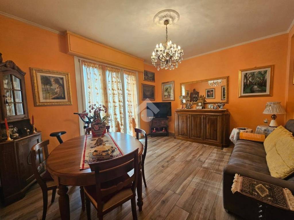 immagine annuncio 1 di 7