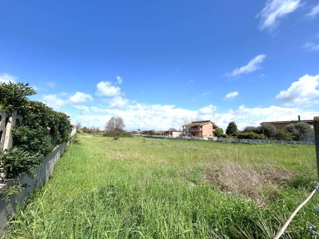 immagine annuncio 2 di 11