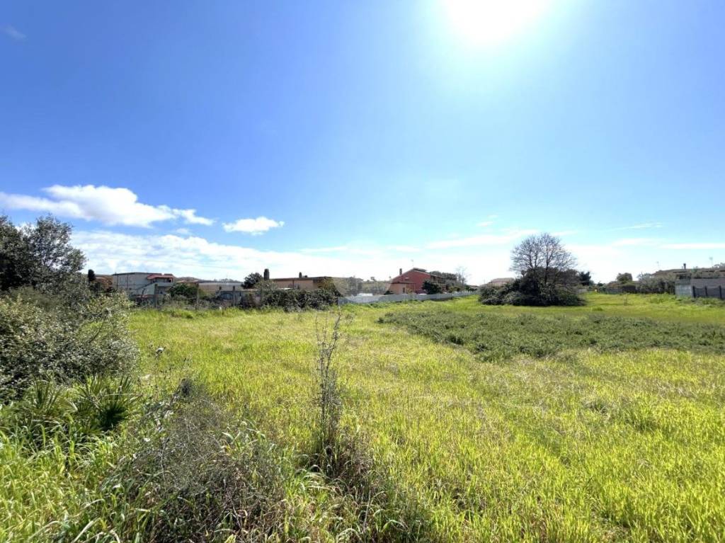 immagine annuncio 5 di 11