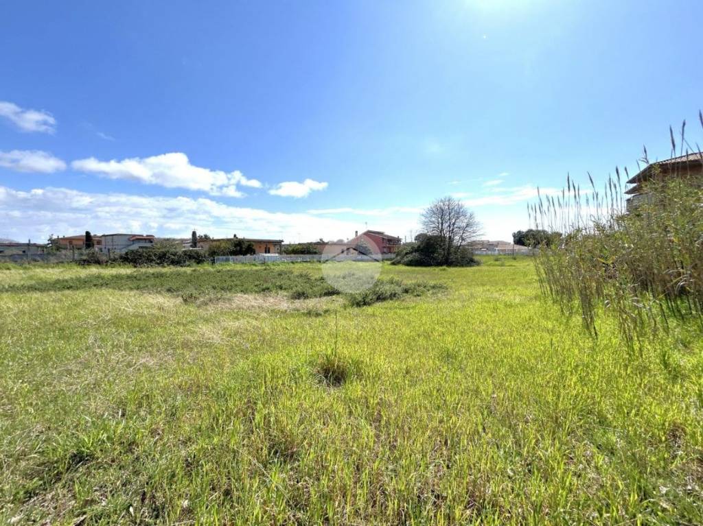 immagine annuncio 6 di 11