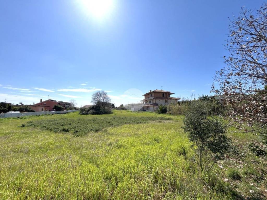 immagine annuncio 7 di 11