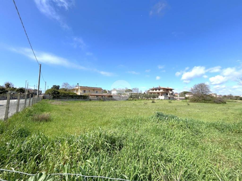 immagine annuncio 8 di 11