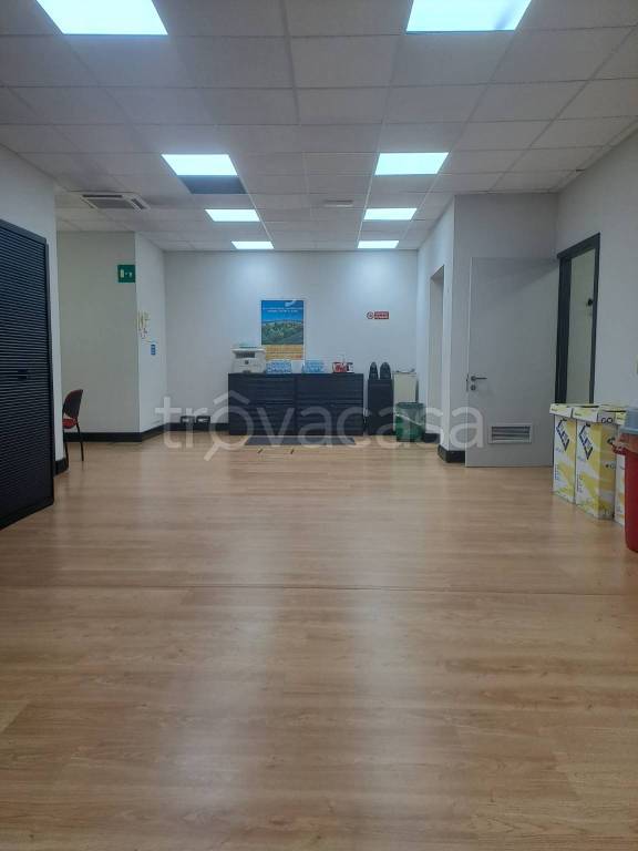 immagine annuncio 1 di 14