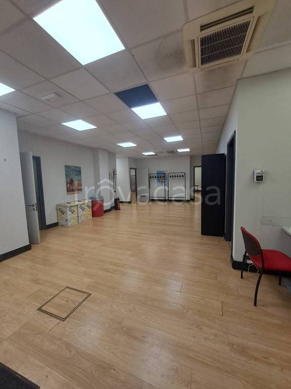 immagine annuncio 2 di 14