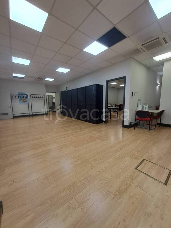 immagine annuncio 5 di 14