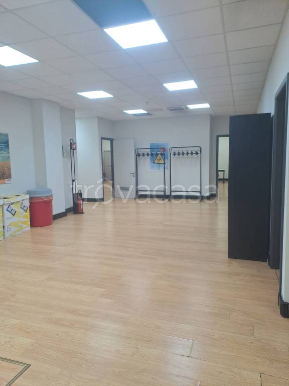 immagine annuncio 7 di 14