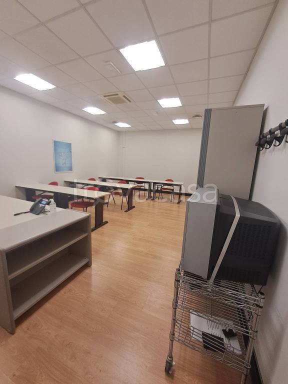 immagine annuncio 9 di 14