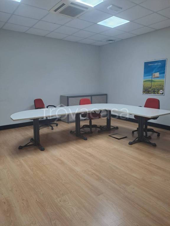 immagine annuncio 11 di 14