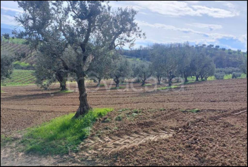 immagine annuncio 1 di 14