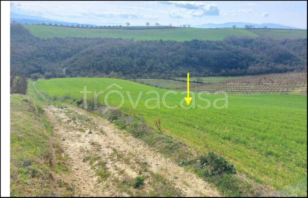 immagine annuncio 5 di 14