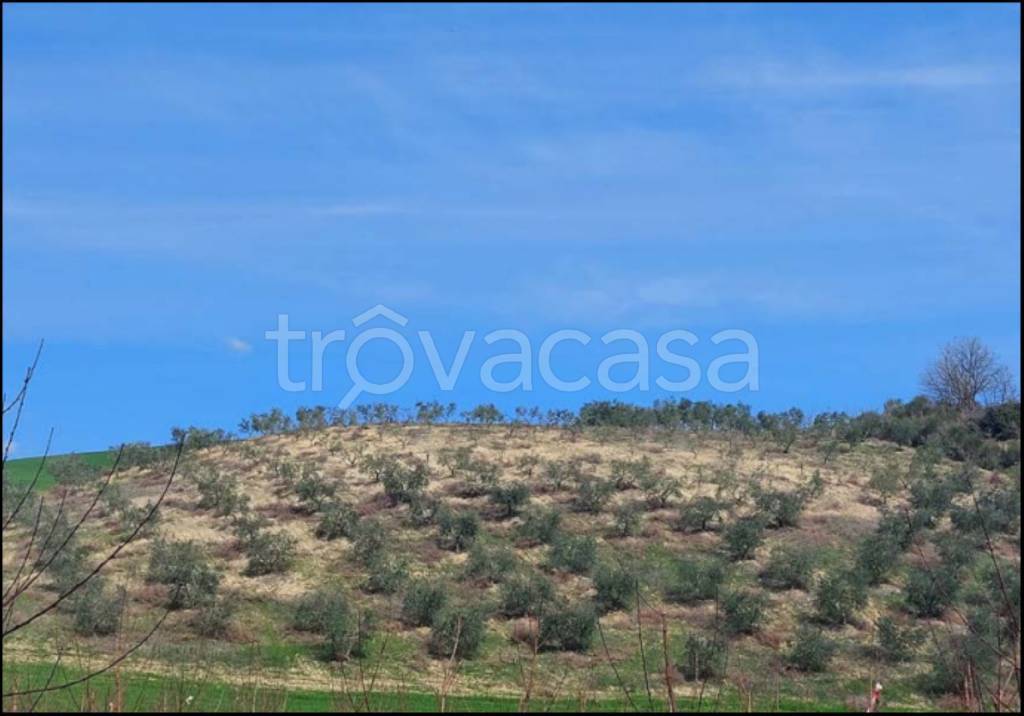 immagine annuncio 6 di 14