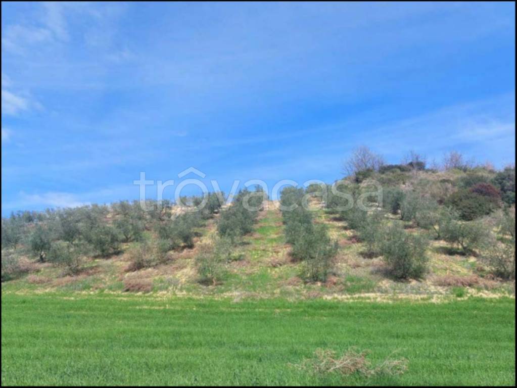 immagine annuncio 7 di 14