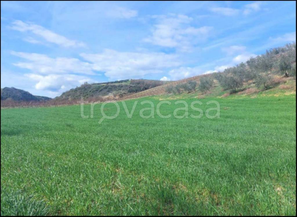 immagine annuncio 8 di 14