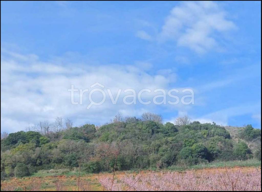 immagine annuncio 10 di 14