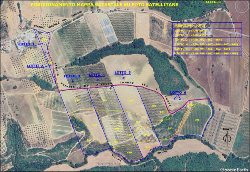 immagine annuncio 13 di 14