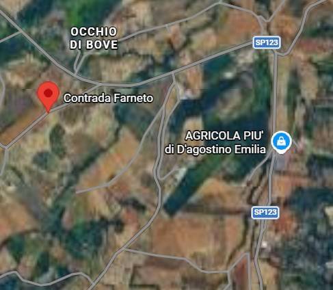 immagine annuncio 7 di 13