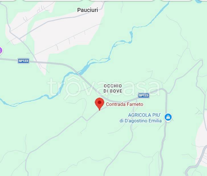 immagine annuncio 9 di 13