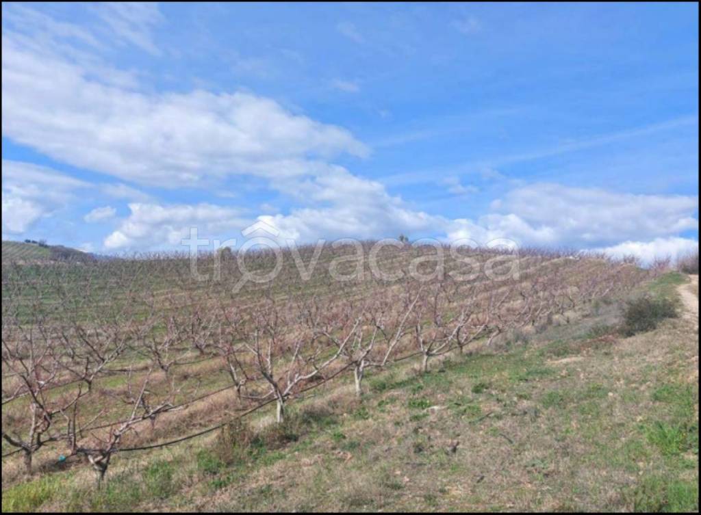 immagine annuncio 3 di 14