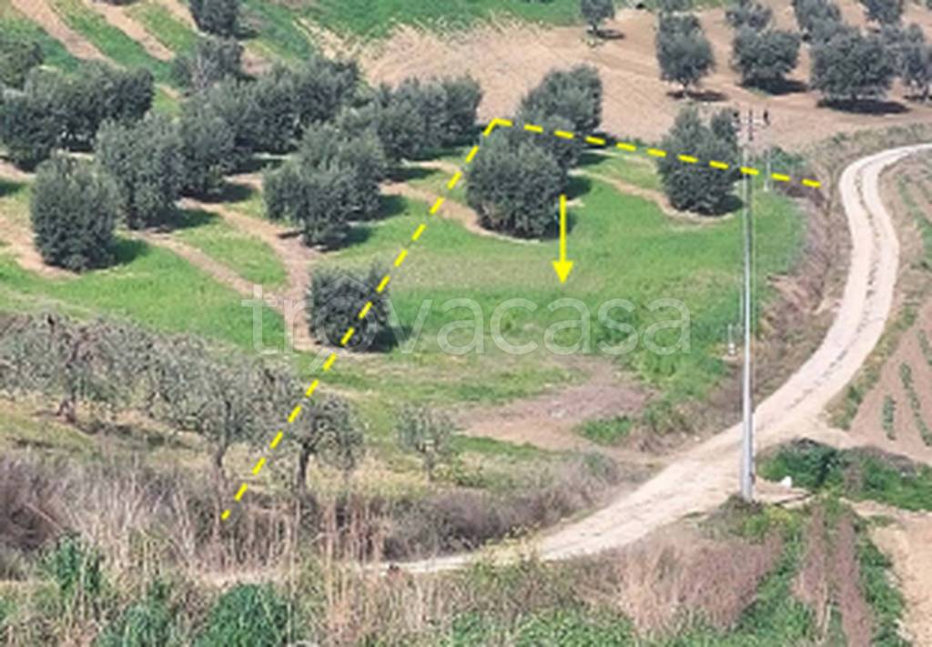 immagine annuncio 6 di 10