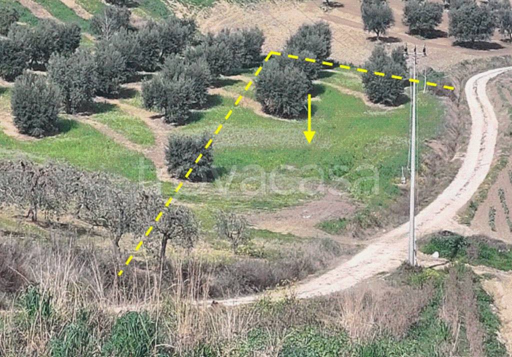 immagine annuncio 8 di 10