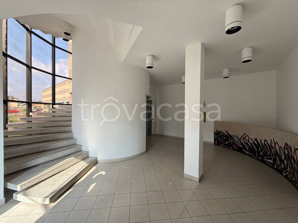 immagine annuncio 7 di 14