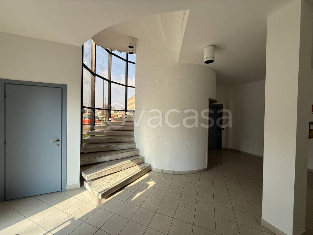 immagine annuncio 9 di 14