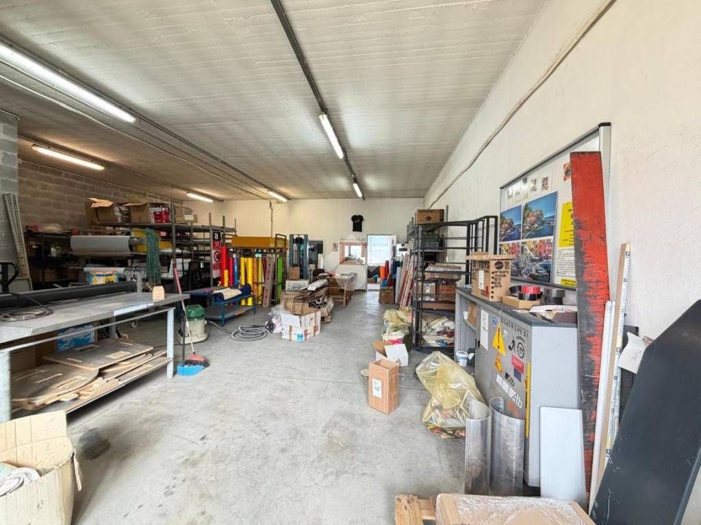 immagine annuncio 1 di 14