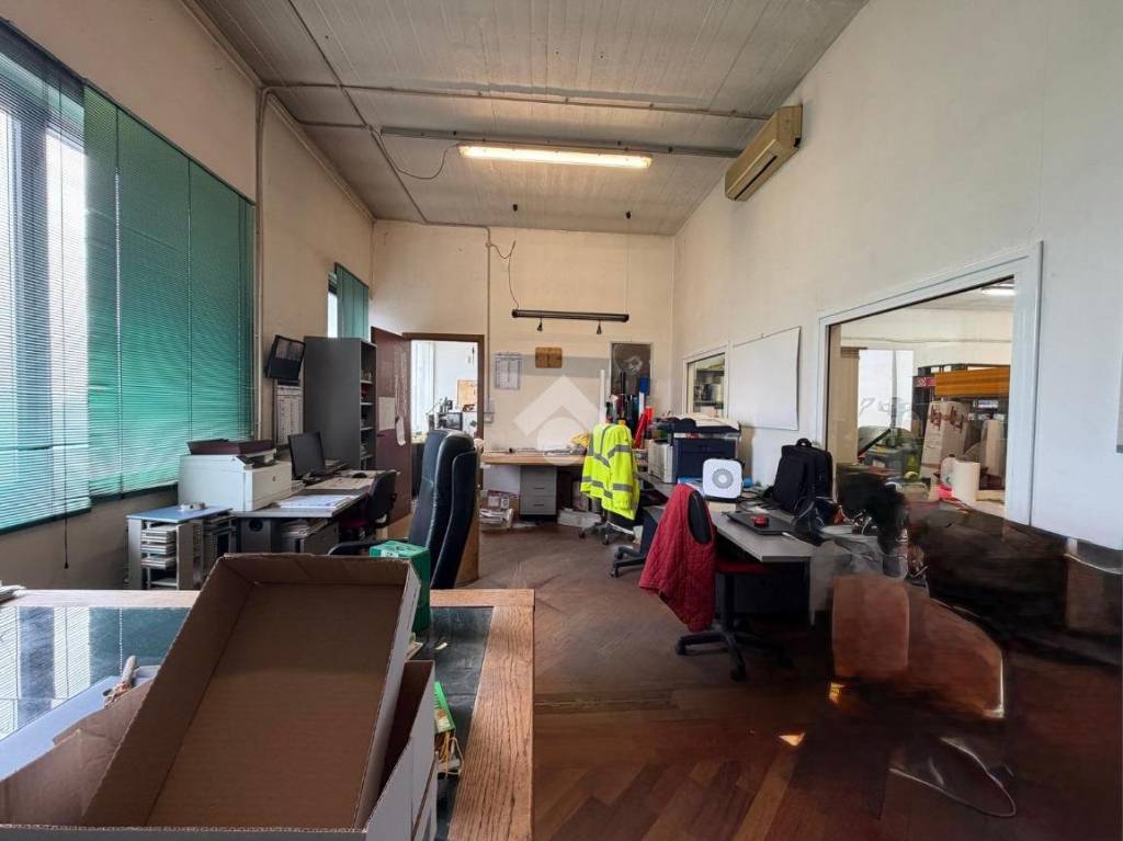 immagine annuncio 6 di 14