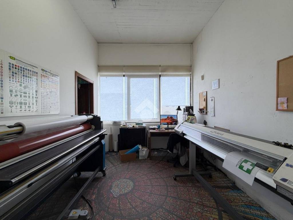 immagine annuncio 7 di 14